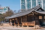 대전 회덕 동춘당 (6)