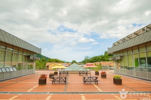 동해무릉건강숲 (3)