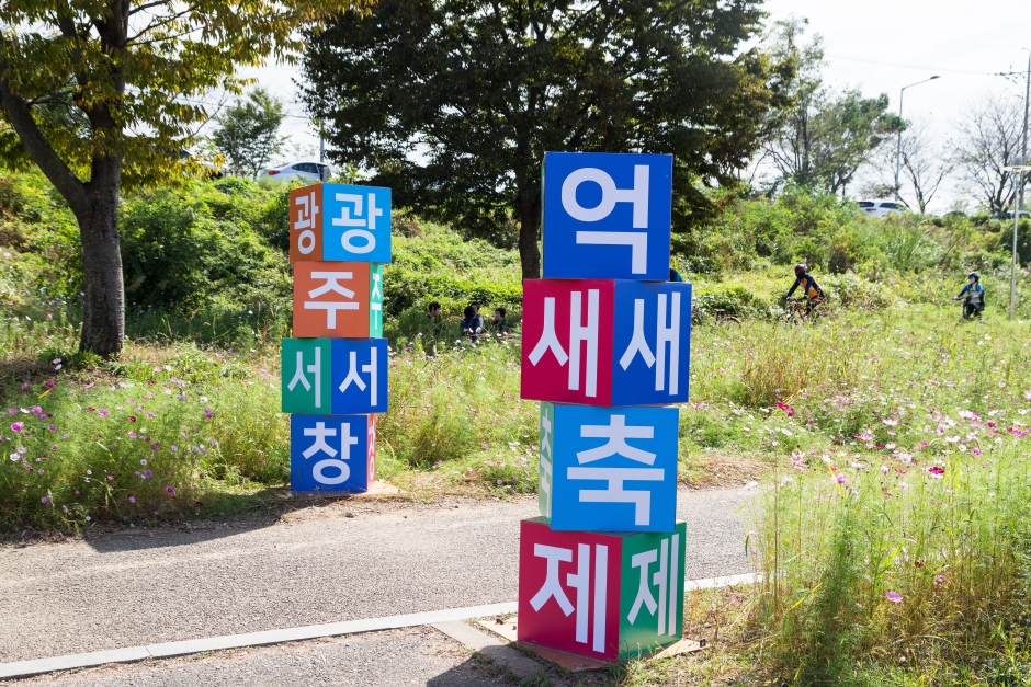 Festival del Eoksae de Seochang en Gwangju (광주서창억새축제)