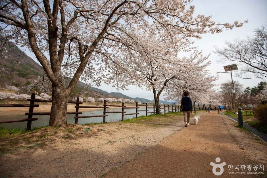 동구리호수공원