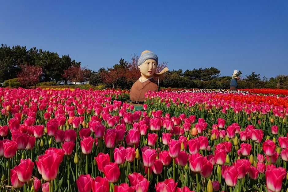 Korea Flower Park (코리아플라워파크)