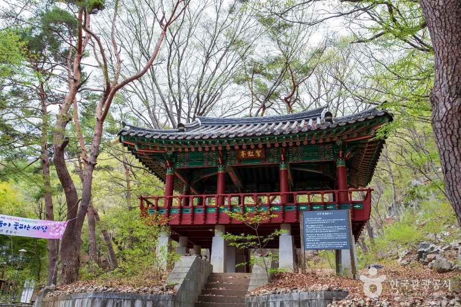 홍룡사(양산)