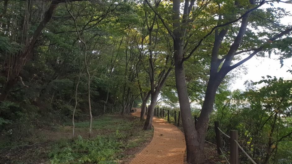[경기옛길 평해길 제3길] 정약용길 (13)