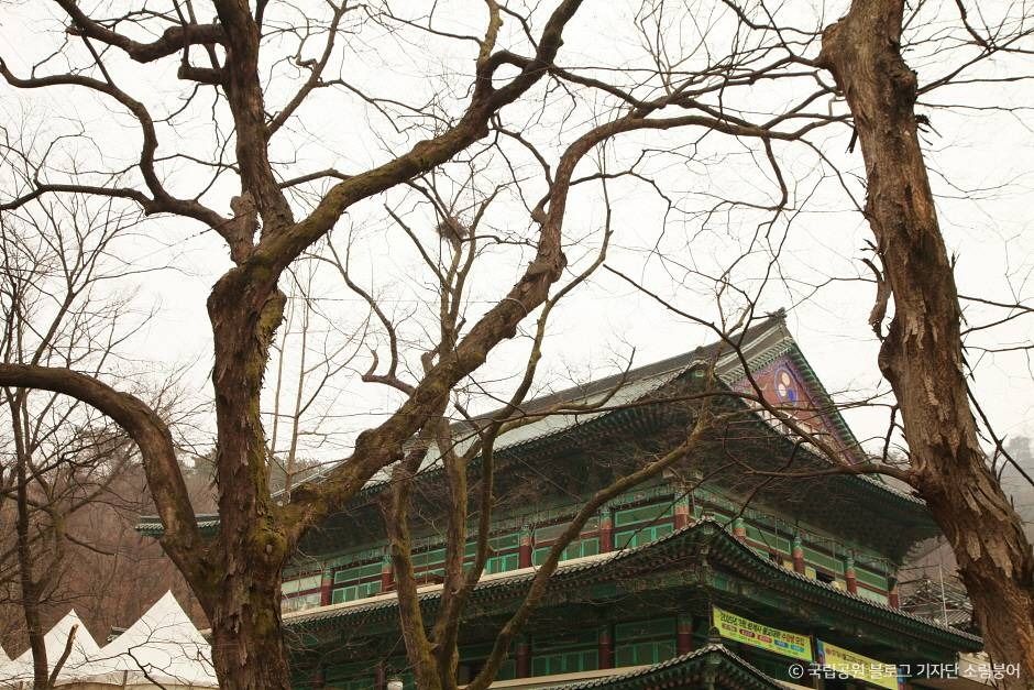 [북한산 둘레길 3구간] 흰구름길