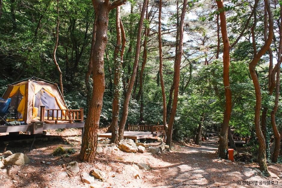 오도산자연휴양림