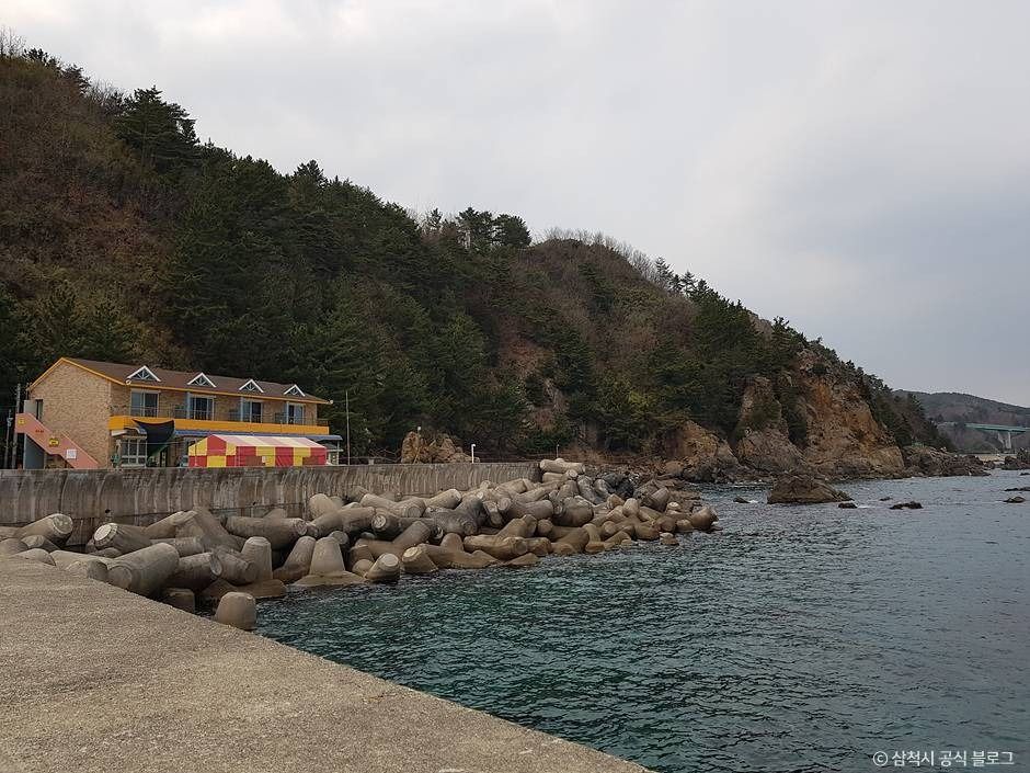 비화항