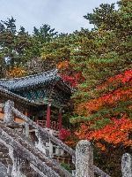 불국사
