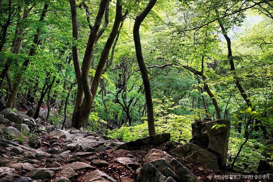 계룡산국립공원