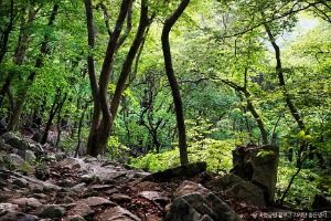 계룡산국립공원 (4)
