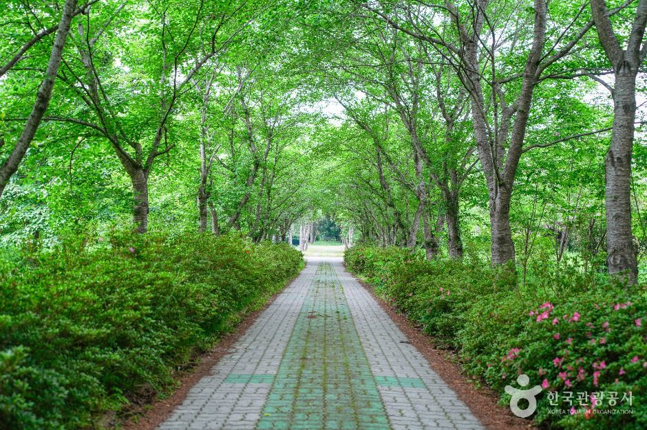 경상북도 산림환경연구원