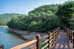 보성 가볼만한곳 보성 여름방학 가족 여행_제암산자연휴양림_1-6