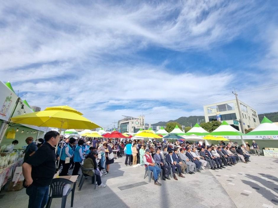 연천고려인삼축제