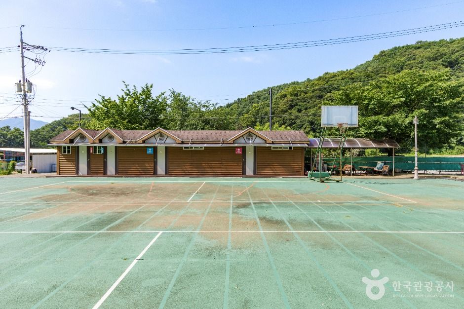 새둥지마을