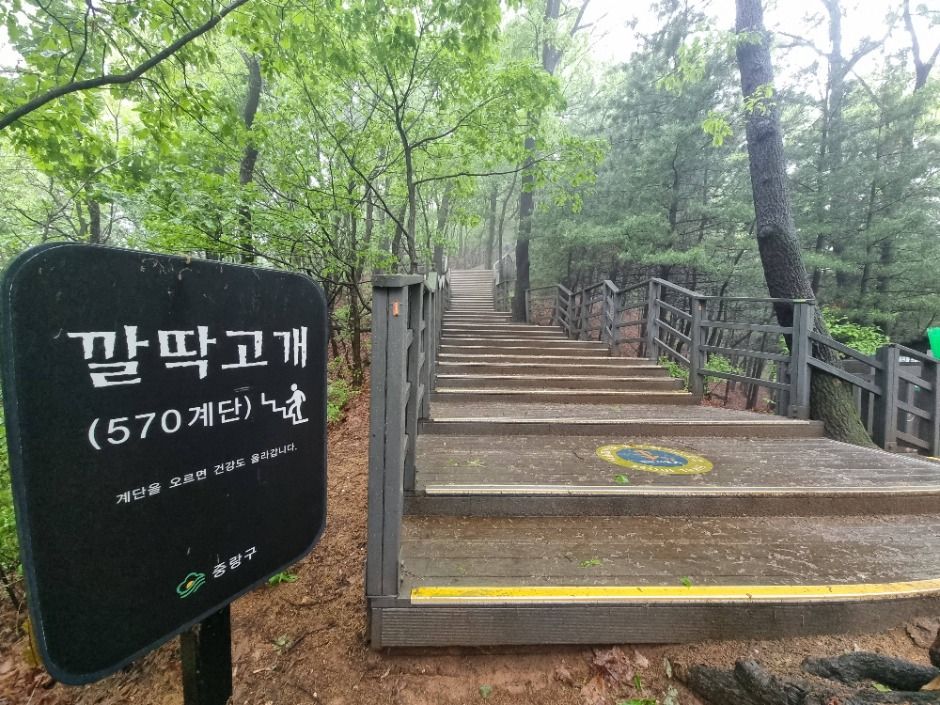 [서울둘레길 5코스] 아차산코스