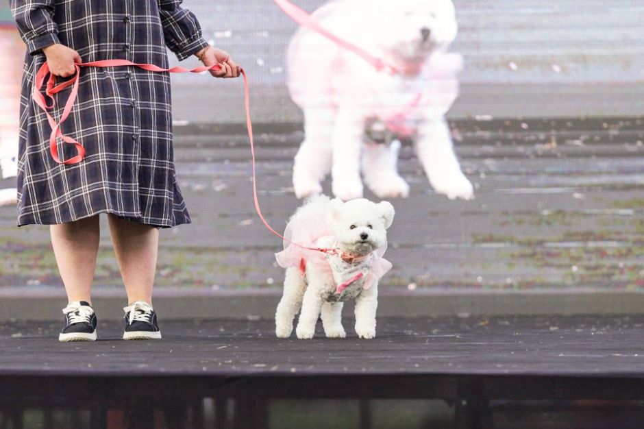 관광지 이미지