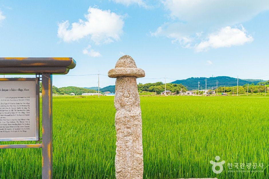 무안발산마을미륵당산