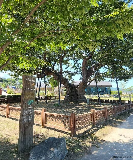 경북 청송 주왕산면·파천면 [슬로시티]