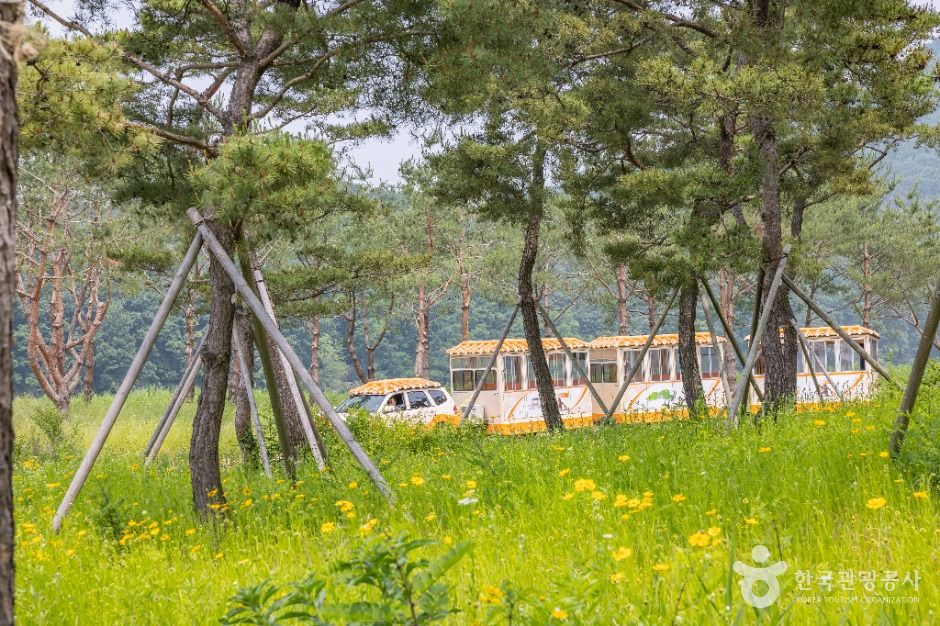 thumbnail-고마열차-10