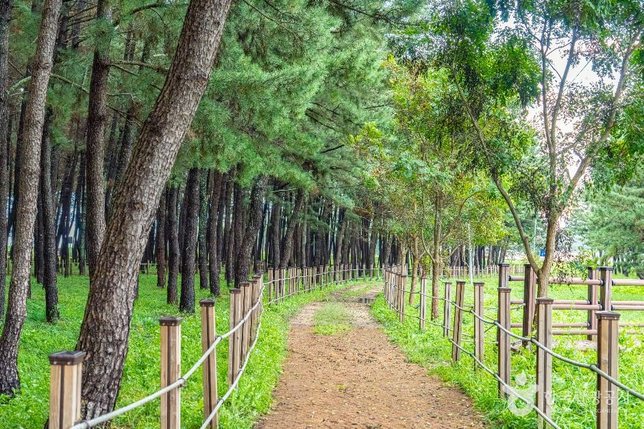 평해사구습지 생태공원