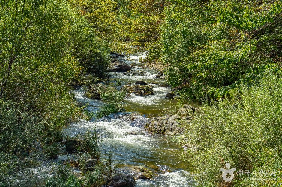 인제_내심적계곡 (6)