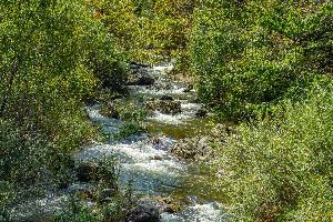 인제_내심적계곡 (6)