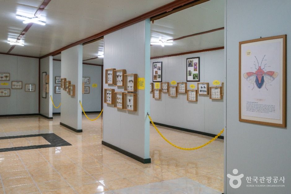 원주곤충마을박물관