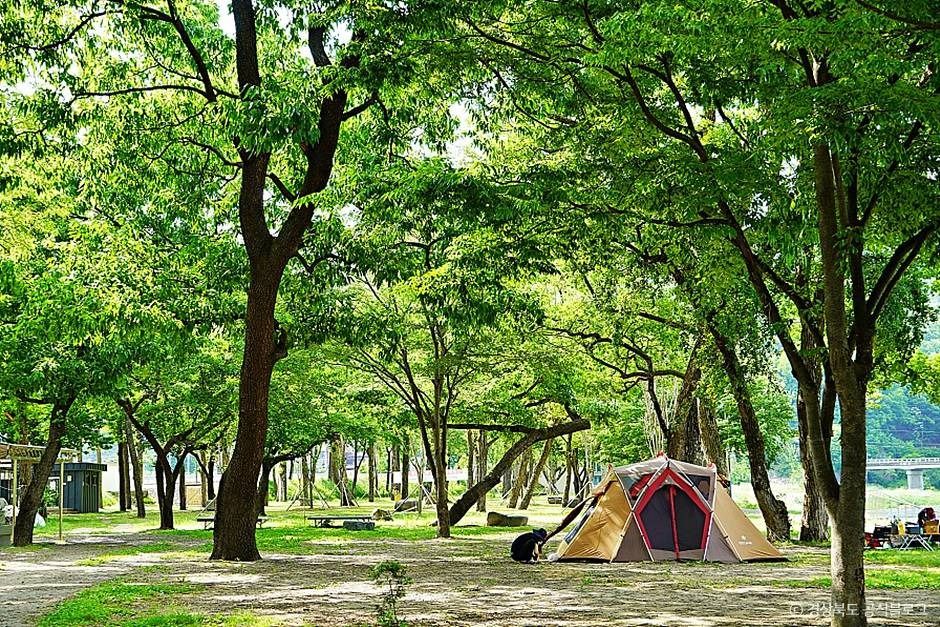 thumbnail-고령 신촌숲-4