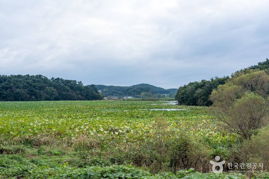 충남 서산빛들마을