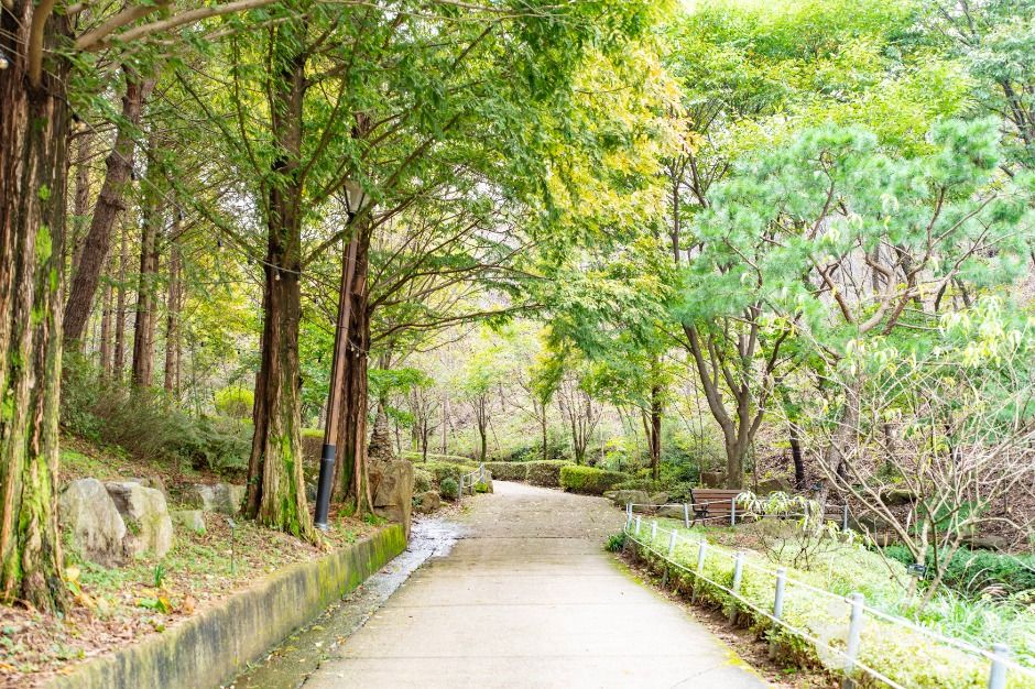 아산 영인산자연휴양림