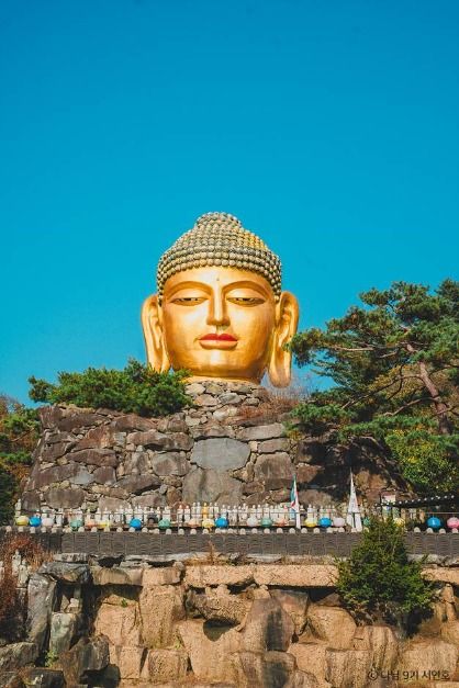 와우정사(용인)