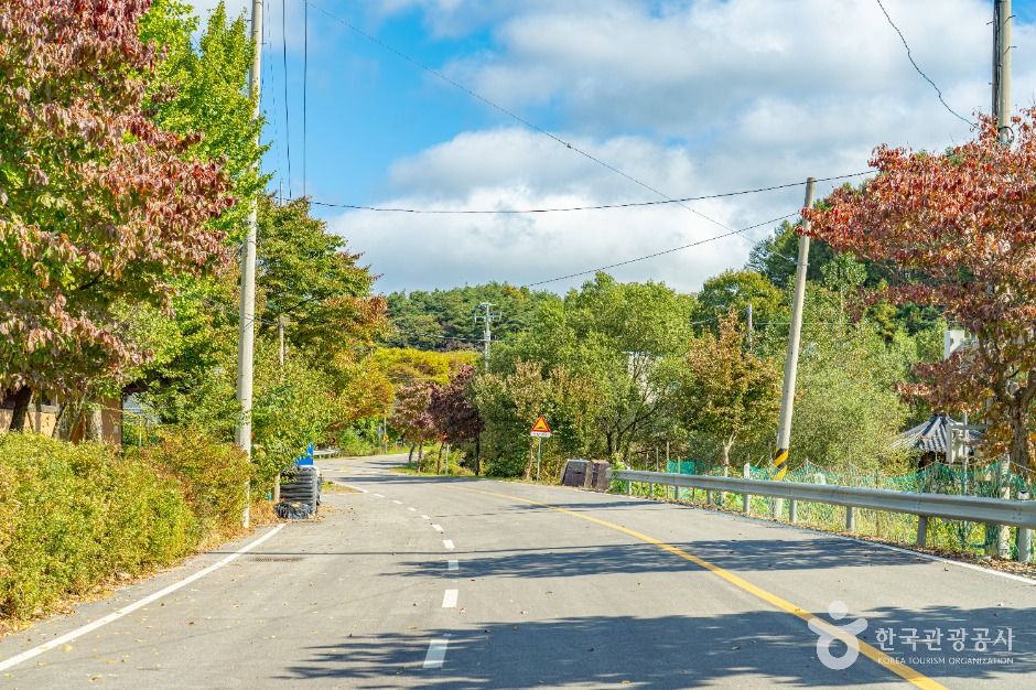 잘산대대박마을