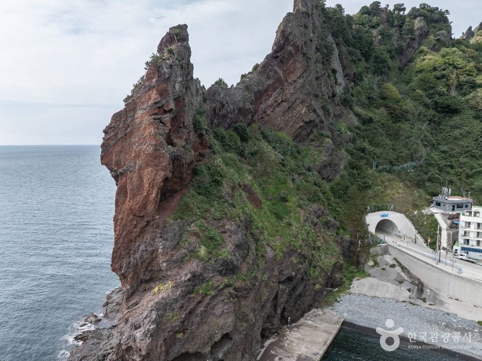 거북바위 및 향나무 자생지 (울릉도, 독도 국가지질공원)