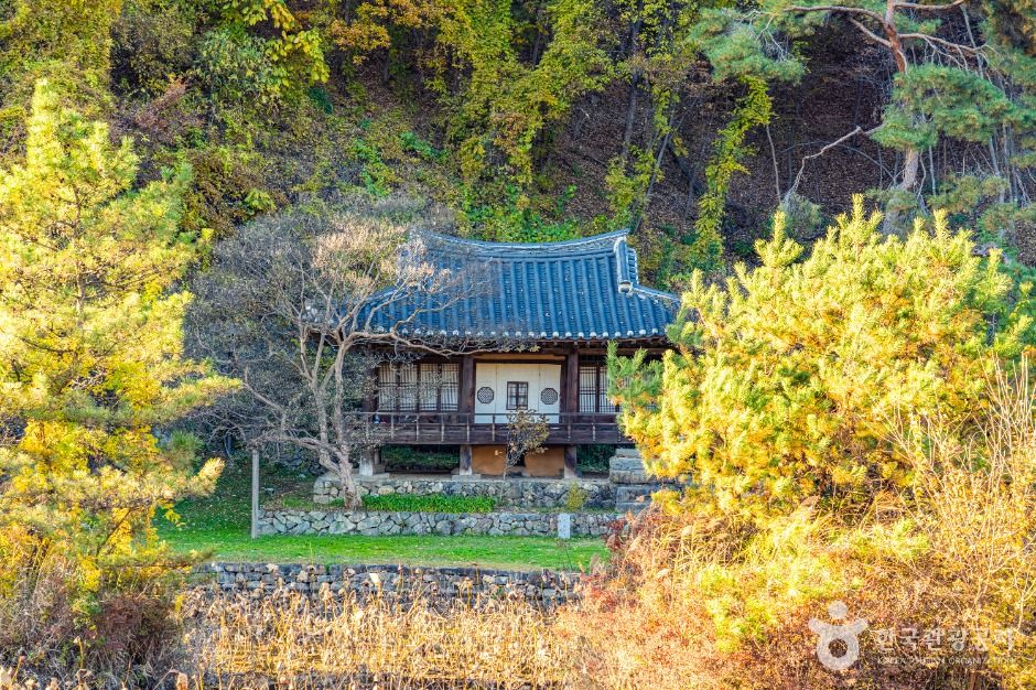 안동_체화정 (2)