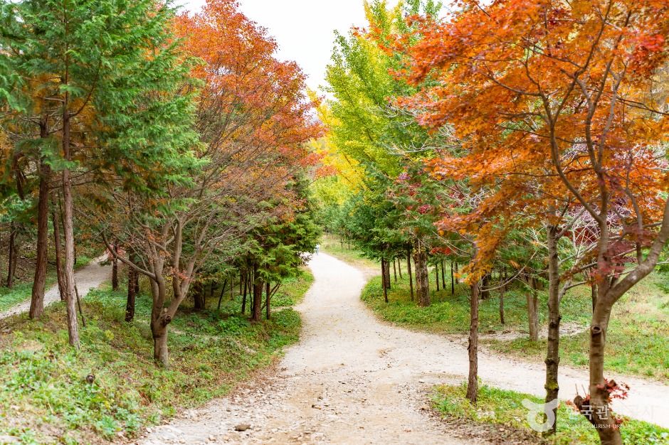 온빛자연휴양림