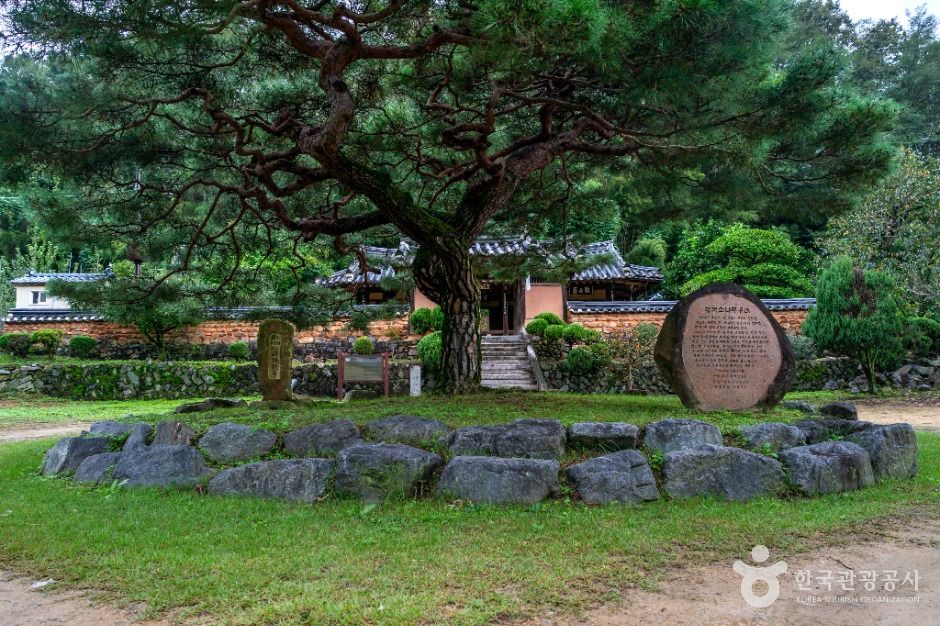 [대구올레 팔공산 4코스] 평광동 왕건길