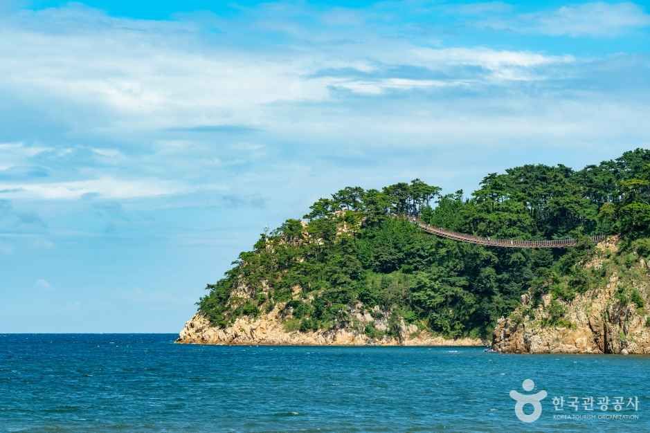 대왕암공원 출렁다리