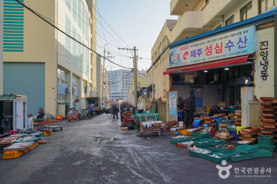 제주_서부두수산시장 (5)