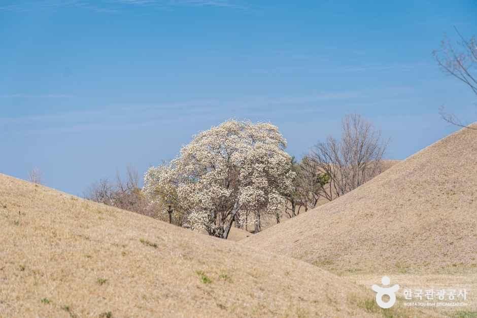 thumbnail-경주 대릉원 일원-14