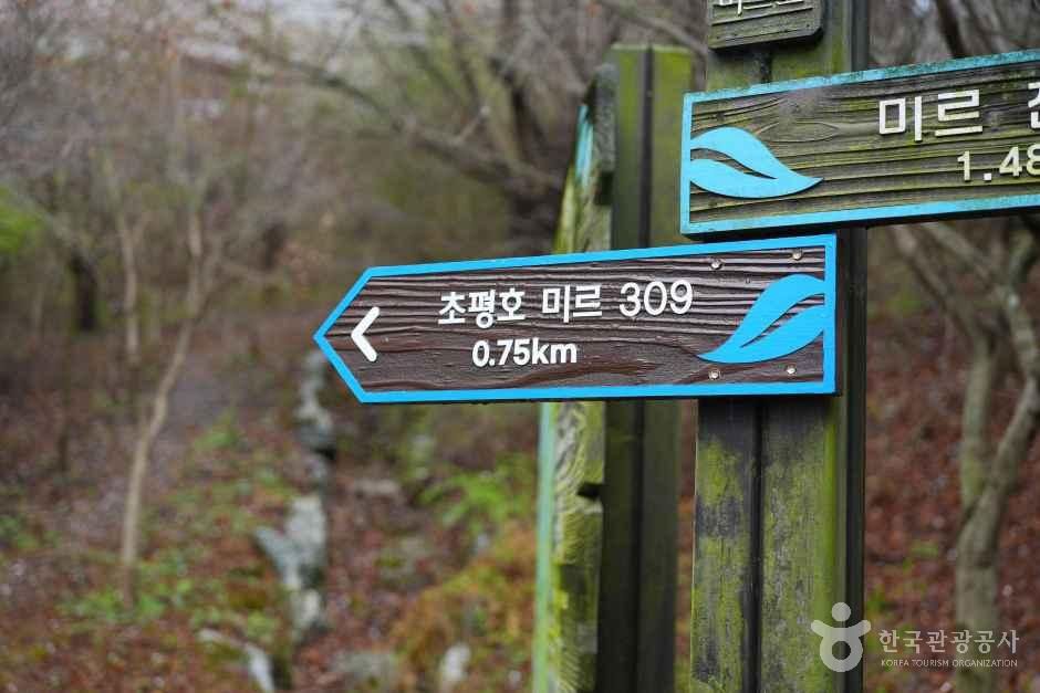 thumbnail-초평호 미르309 출렁다리-5