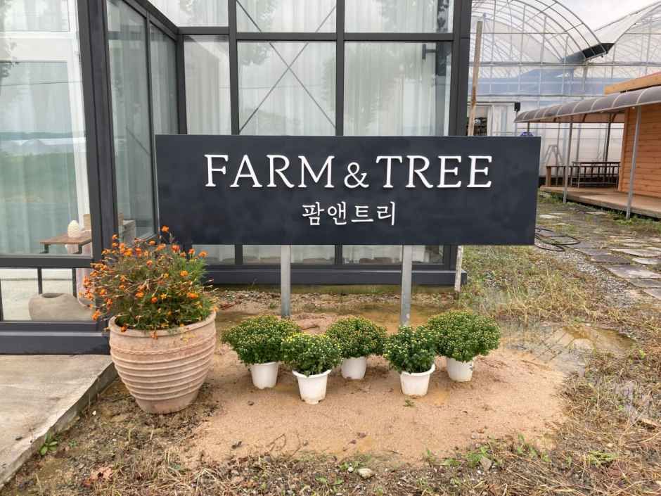thumbnail-팜앤트리-4