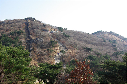 금정 이미지