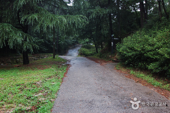 용봉산자연휴양림0