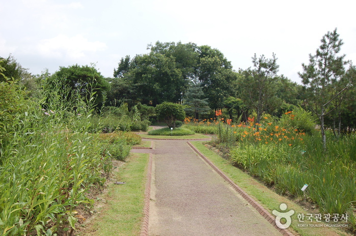 Gangwon-do Provincial Flower Garden (강원도립화목원)