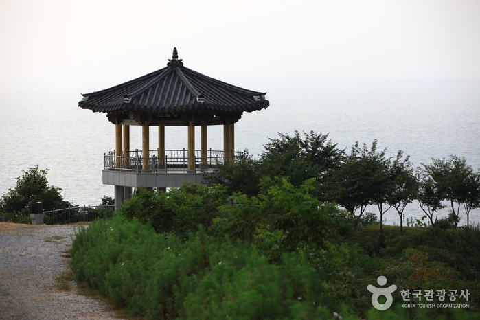 백수해안도로 사진18