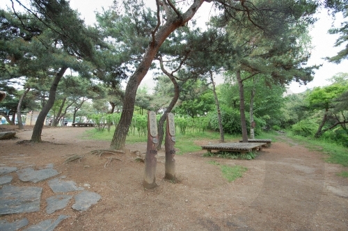 Seoul Grand Park (서울대공원-서울동물원)