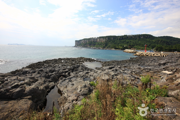 [제주올레 8코스] 월평-대평 올레6