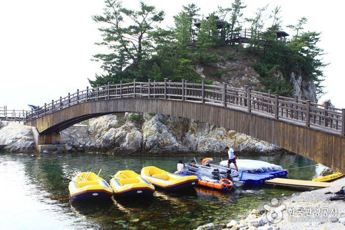 Samcheok Ocean Railbike (삼척 해양레일바이크)