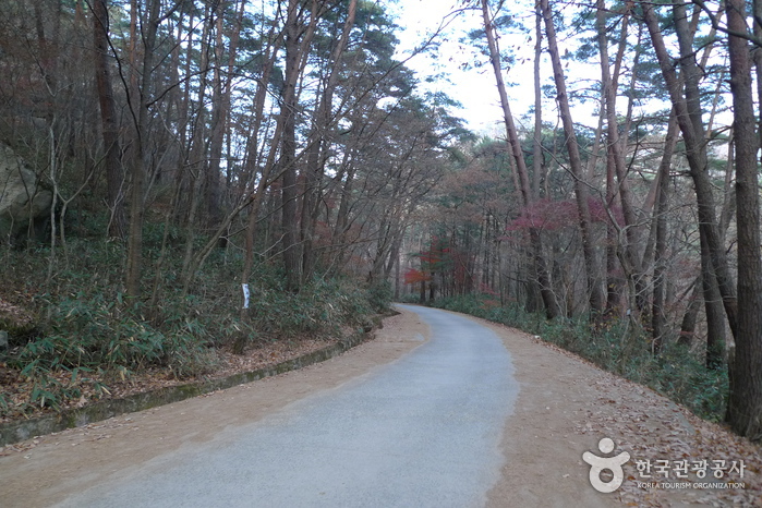 thumbnail-Songnisan National Park (Chungcheongbuk-do Section) (속리산국립공원(충북))-12