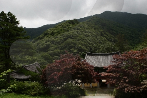 Temple Baengnyeonsa (Gapyeong) - 백련사(가평)