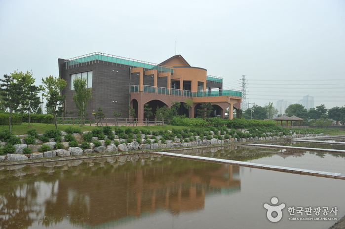 Sorae Ecology Park (소래습지생태공원)